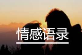 定边婚外情调查